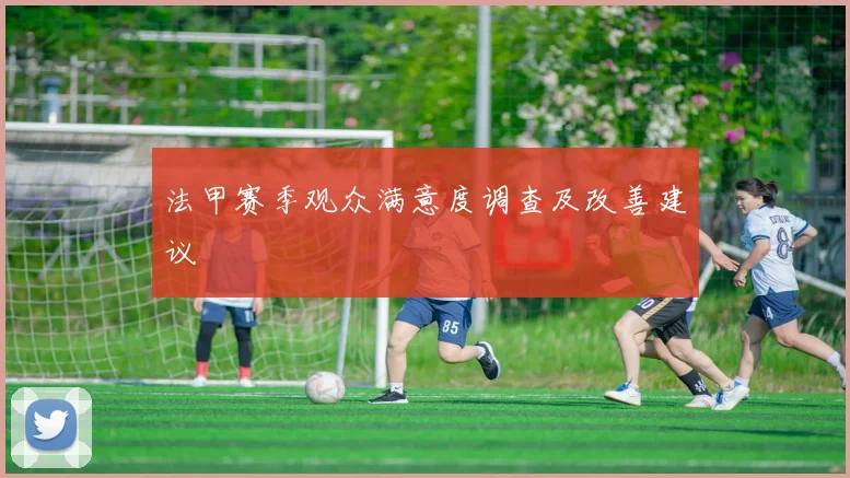 法甲赛季观众满意度调查及改善建议