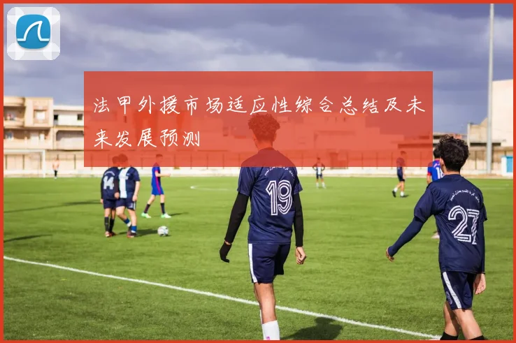 法甲外援市场适应性综合总结及未来发展预测