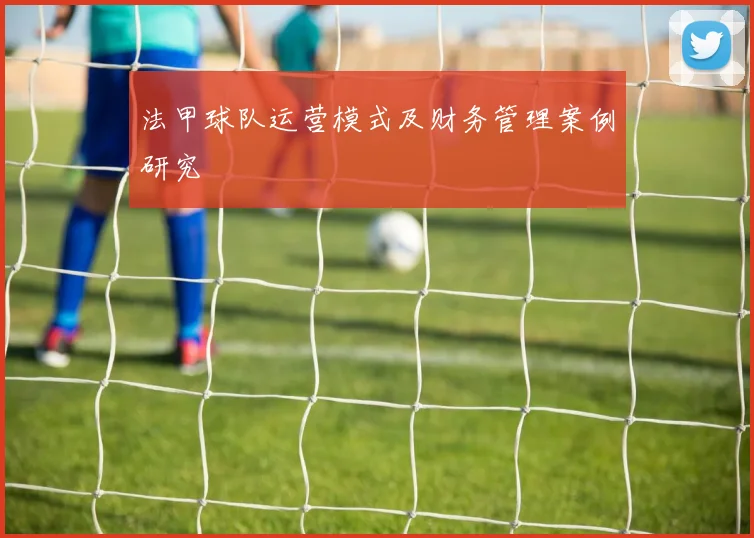 法甲球队运营模式及财务管理案例研究