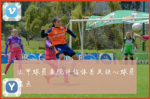 法甲球员表现评估体系及核心球员盘点