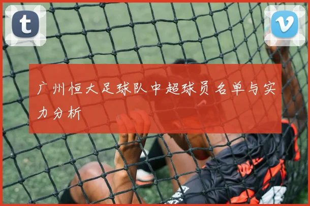 广州恒大足球队中超球员名单与实力分析