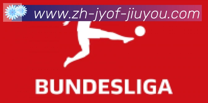 九游jiuyou合作伙伴